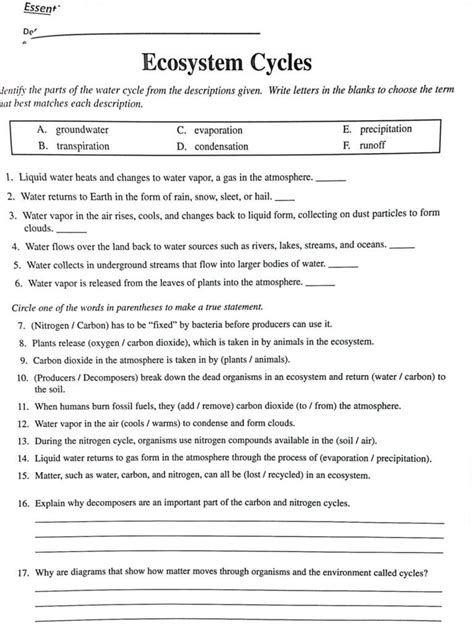 20 Integrated Science Cycles Worksheet Answers | Worksheet From Home